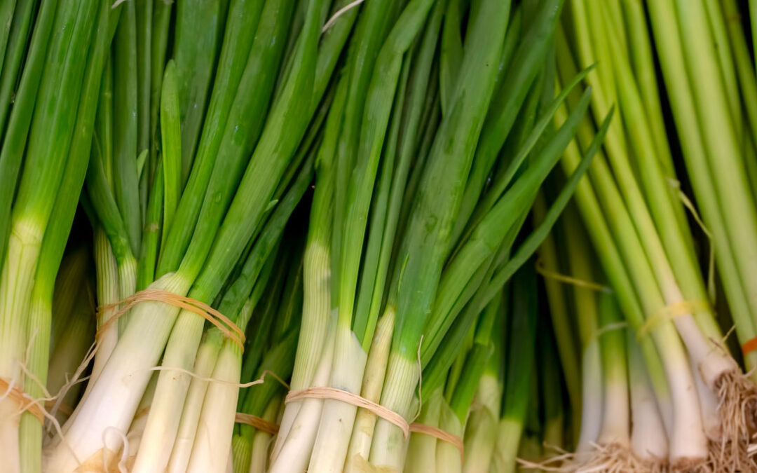 How to cook green onions