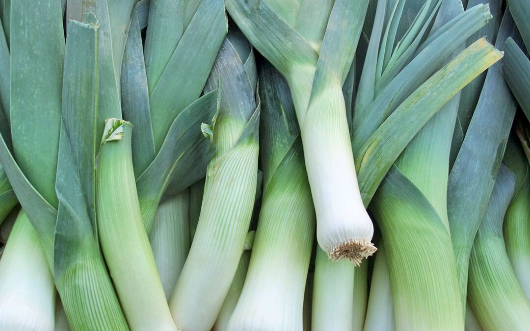 The benefits of leek