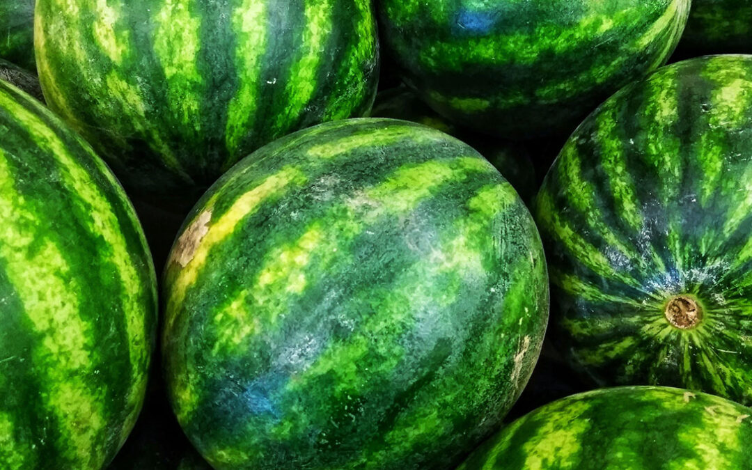 Watermelon benefits and recipes